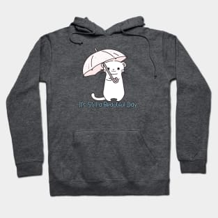 Ferret ‎It's Still a Beautiful Day Hoodie